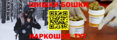 apvp Гусиноозёрск