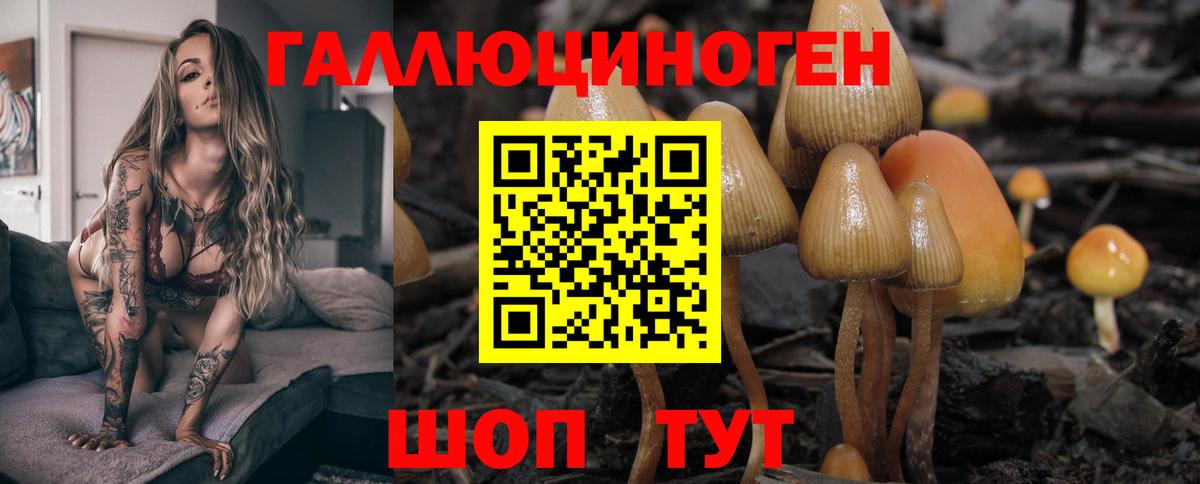 Галлюциногенные грибы Psilocybe Мытищи