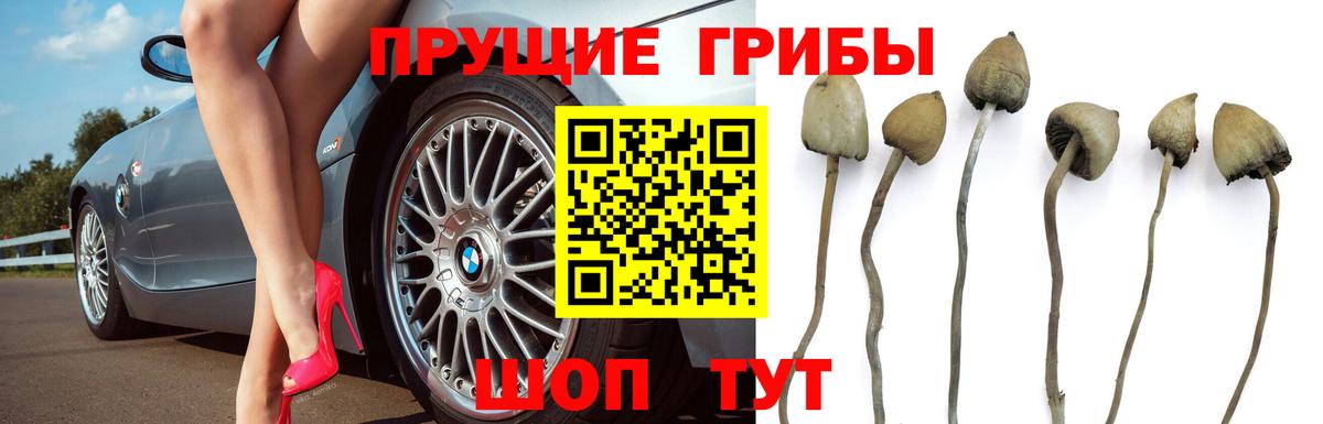 закладки  Галлюциногенные грибы мицелий  Вход с VPN  Мытищи 